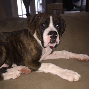 Meet your Posher, Krissy